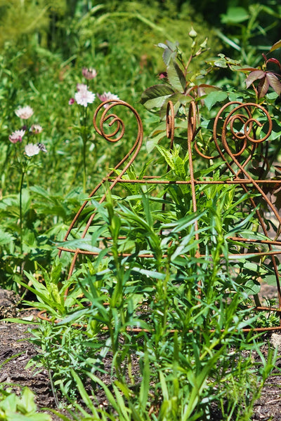 Grow through plant supports, rusty wire frames - Christopher Belle - Great for floppy herbaceous perennials like Sedum