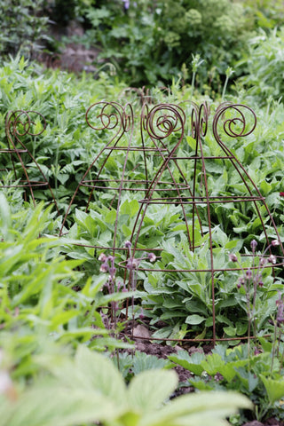 Grow through plant supports, rusty wire frames - Ernest Belle - Great for Peonies and all floppy herbaceous perennials, seen here at Knightshayes