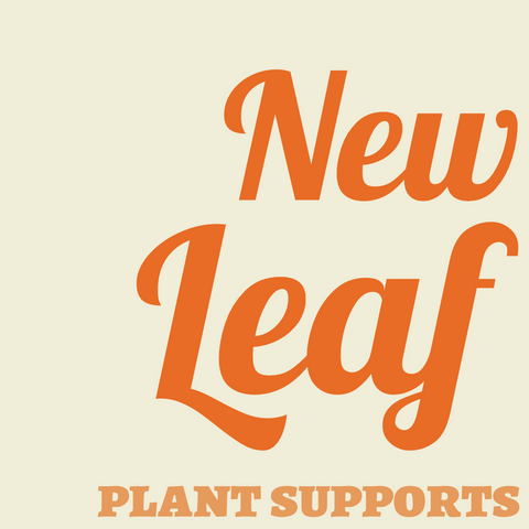 A NEW Leaf for Plant Belles