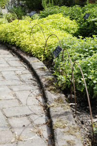 Plant supports, rusty edging, fencing - Small Edging Hoops - seen here at RHS Rosemoor