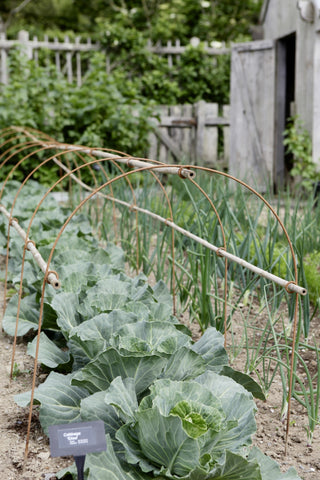 Protect your fruit & veg, plant tunnel, cloche hoops with loops for cane support, Enviromesh or net