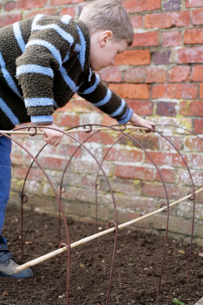 Protect your fruit & veg, plant tunnel, cloche hoops with loops for cane support, Enviromesh or net