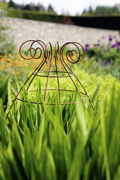 Grow through plant supports, rusty wire frames - Sidney Belle - Great for floppy perennials like Crocosmia, Dahlias, Delphiniums