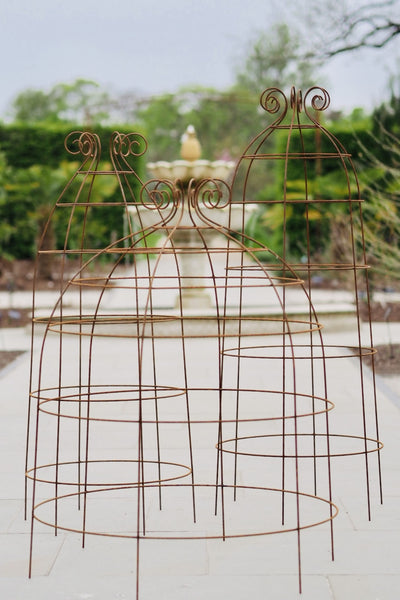 Obelisks and grow-through plant supports. Also great for training roses. At RHS Rosemoor & Wisley
