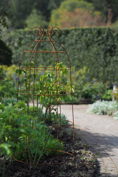 Obelisks and grow-through plant supports. Also great for training roses. at RHS Rosemoor & Wisley