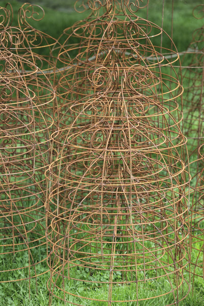 Grow through plant supports, rusty wire frames - Gertrude Belle - Great for floppy perennials Sedums, Peonies, Oriental Poppies, Geraniums
