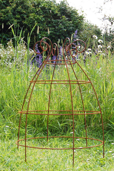 Grow through plant supports, rusty wire frames - Ernest Belle - Great for floppy herbaceous perennials like Peonies
